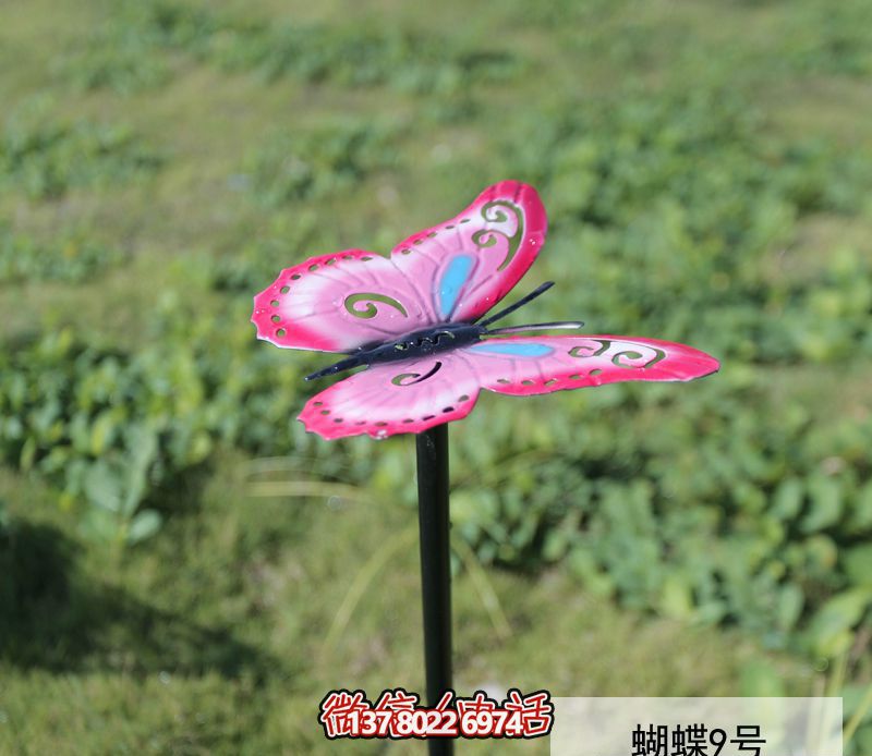 不銹鋼蝴蝶雕塑,創(chuàng)意裝點公園環(huán)境 不銹鋼蝴蝶雕塑,創(chuàng)意裝點公園環(huán)境